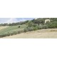 PRESTIGIOUS PALAZZO NOBILIARE IN THE COUNTRYSIDE FOR SALE IN FERMO SURROUNDING THE WONDERFUL 1800 IN PANORAMIC POSITION in the Marche region in Italy in Le Marche_28